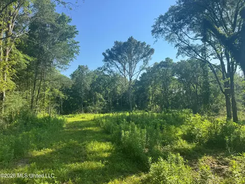 0 Dampeer Rd, Canton, MS 39046 photo 12