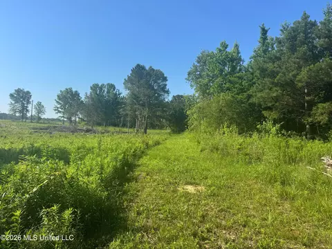 0 Dampeer Rd, Canton, MS 39046 photo 23