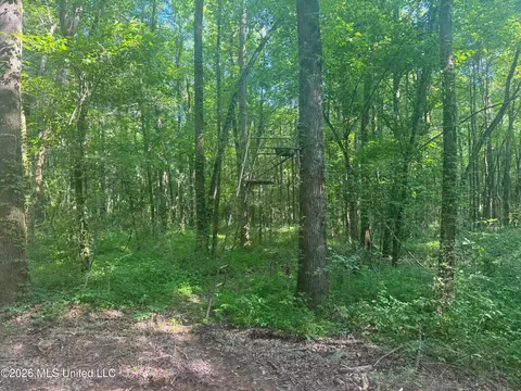 0 Dampeer Rd, Canton, MS 39046 photo 18