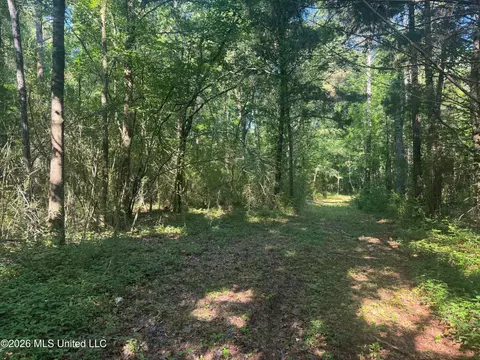 0 Dampeer Rd, Canton, MS 39046 photo 13