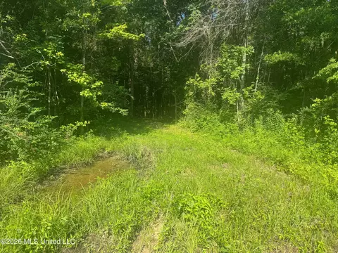 0 Dampeer Rd, Canton, MS 39046 photo 24
