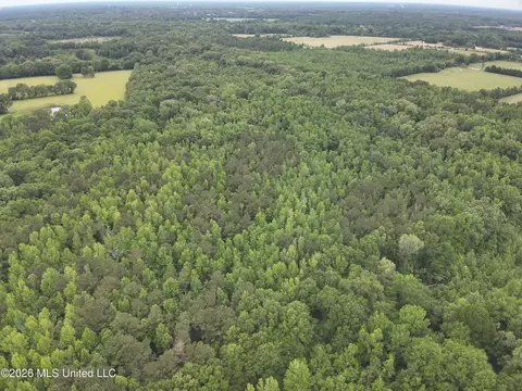 0 Dampeer Rd, Canton, MS 39046 photo 5
