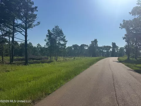 0 Dampeer Rd, Canton, MS 39046 photo 8