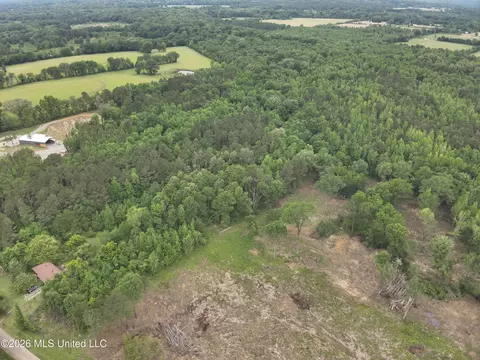 0 Dampeer Rd, Canton, MS 39046 photo 3