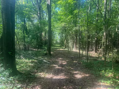 0 Dampeer Rd, Canton, MS 39046 photo 26