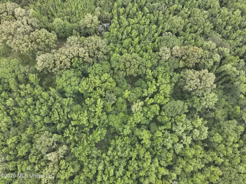 0 Dampeer Rd, Canton, MS 39046 photo 7