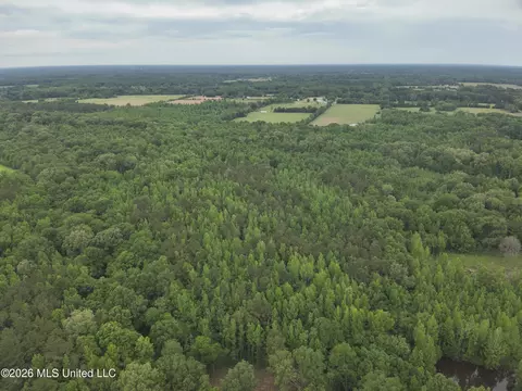 0 Dampeer Rd, Canton, MS 39046 photo 4