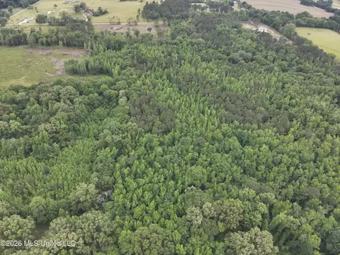 0 Dampeer Rd, Canton, MS 39046