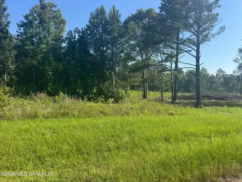 0 Dampeer Rd, Canton, MS 39046 photo 9