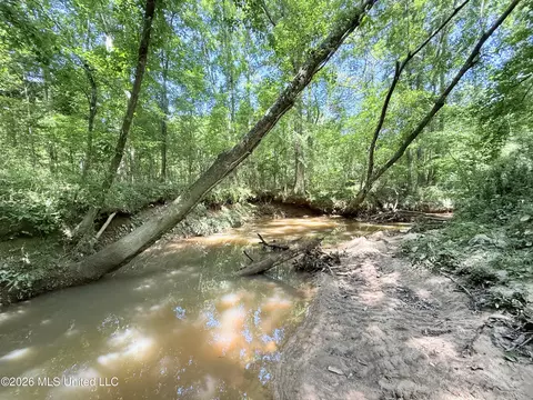 Jackson Liberty Drive, Smithdale, MS 39664