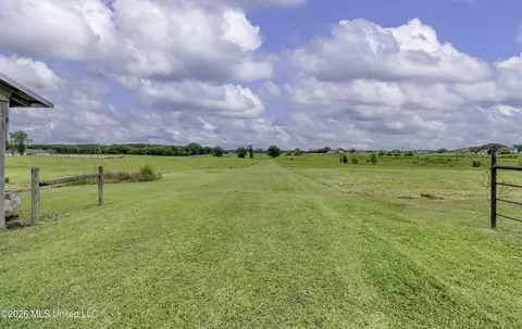 Other - 482 Cane Creek Rd, Flora, MS 39071 photo 18 of 44