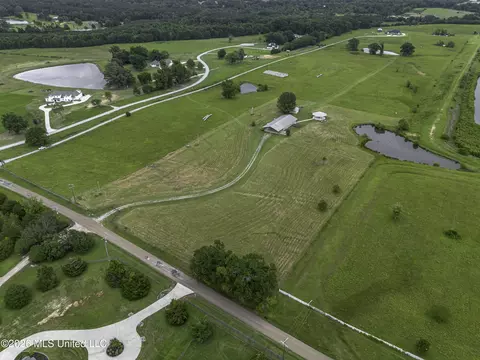 View/Area - 482 Cane Creek Rd, Flora, MS 39071 photo 8 of 13