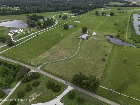 View/Area - 482 Cane Creek Rd, Flora, MS 39071 photo 7 of 13