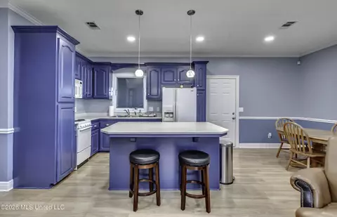 Kitchen - 482 Cane Creek Rd, Flora, MS 39071 photo 3 of 6