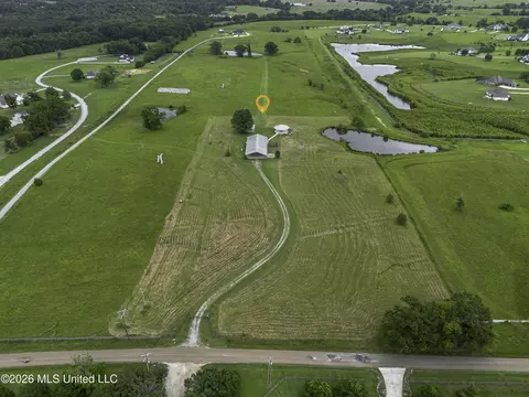 View/Area - 482 Cane Creek Rd, Flora, MS 39071 photo 10 of 13