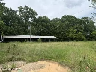 Highway 13, Lena, MS 39094 photo 2