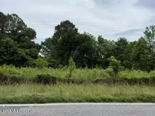 Highway 13, Lena, MS 39094 photo 11