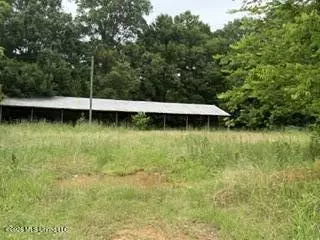 Highway 13, Lena, MS 39094 photo 8