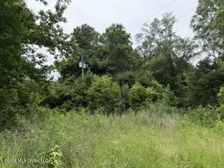 Highway 13, Lena, MS 39094 photo 6