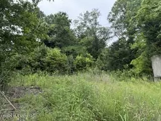 Highway 13, Lena, MS 39094 photo 5
