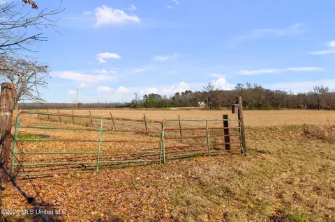 205 Avondale Rd, Canton, MS 39046 photo 3