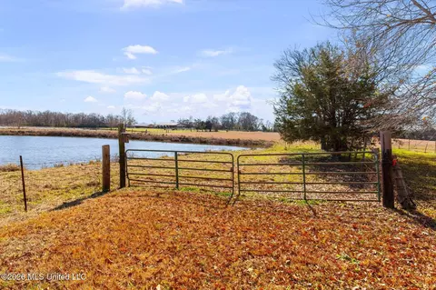 205 Avondale Rd, Canton, MS 39046 photo 5