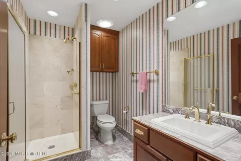 Bath - 147 Chantilly Dr, Madison, MS 39110 photo 11 of 12