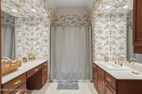 Bath - 147 Chantilly Dr, Madison, MS 39110 photo 10 of 12
