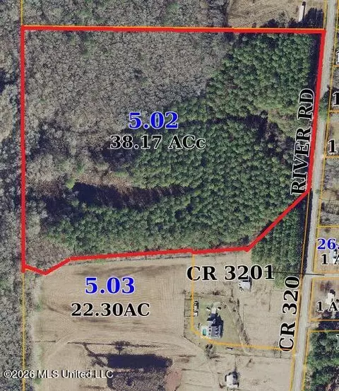 County Road 320, Enterprise, MS 39330 photo 4