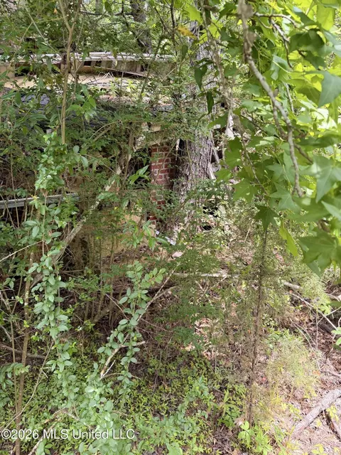 River Road, Liberty, MS 39645 photo 11