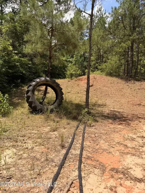 River Road, Liberty, MS 39645 photo 6