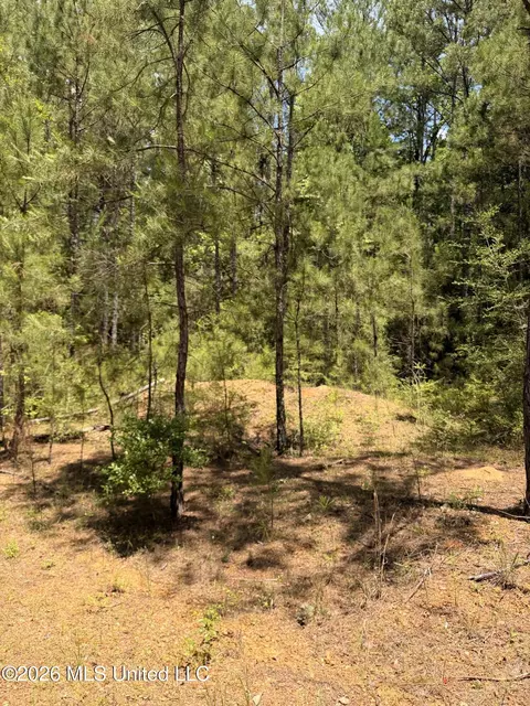 River Road, Liberty, MS 39645 photo 8