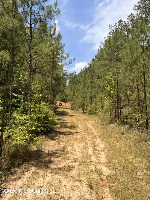 River Road, Liberty, MS 39645 photo 7