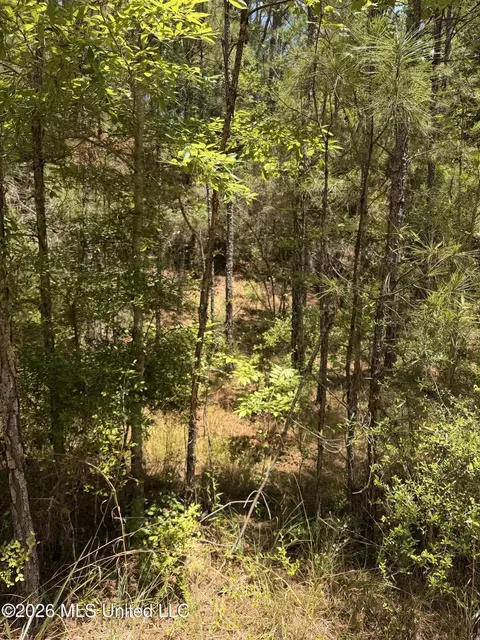 River Road, Liberty, MS 39645 photo 5
