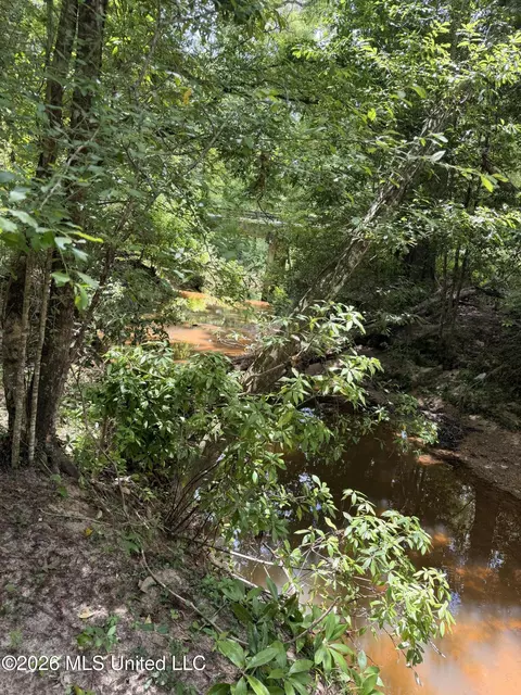 River Road, Liberty, MS 39645 photo 4
