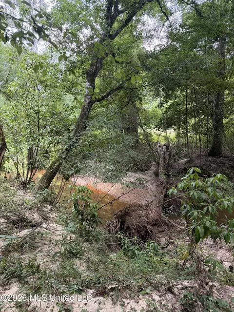 River Road, Liberty, MS 39645 photo 3