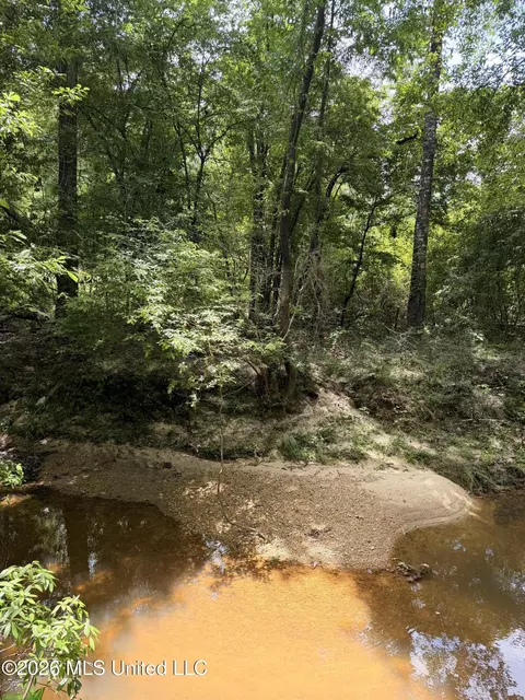 River Road, Liberty, MS 39645 photo 2