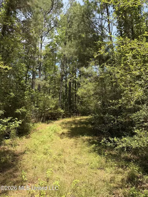 River Road, Liberty, MS 39645 photo 9