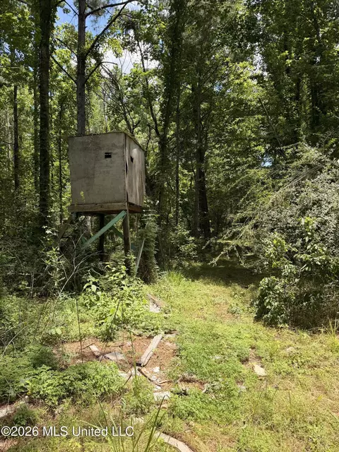 River Road, Liberty, MS 39645 photo 10