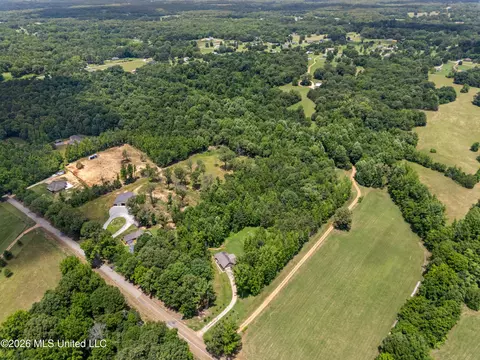 View/Area - 479 Hope Rd, Coldwater, MS 38618 photo 1 of 1