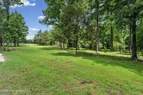 Exterior - 479 Hope Rd, Coldwater, MS 38618 photo 16 of 24