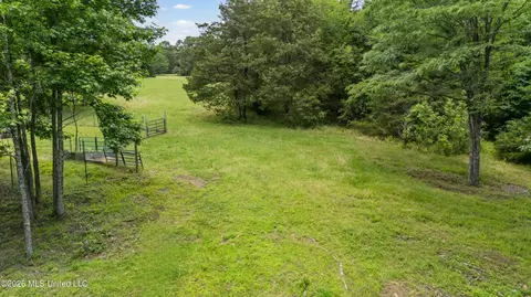 Other - 479 Hope Rd, Coldwater, MS 38618 photo 11 of 17