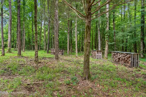 Exterior - 479 Hope Rd, Coldwater, MS 38618 photo 14 of 24