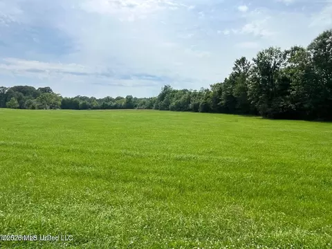 Sky Lake Drive, Pelahatchie, MS 39145