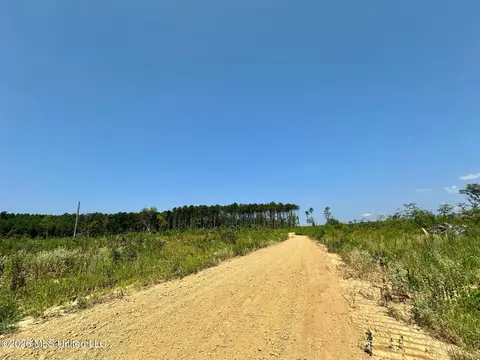 Ms-25, Brandon, MS 39047 photo 19