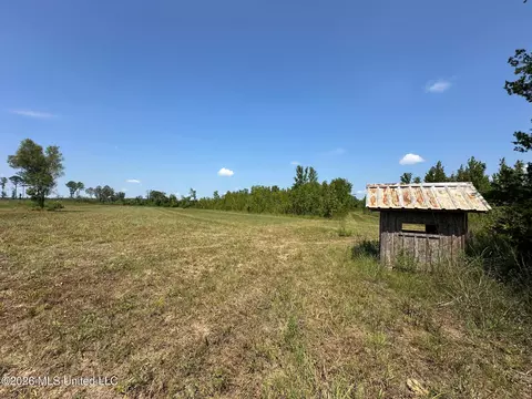 Ms-25, Brandon, MS 39047 photo 28