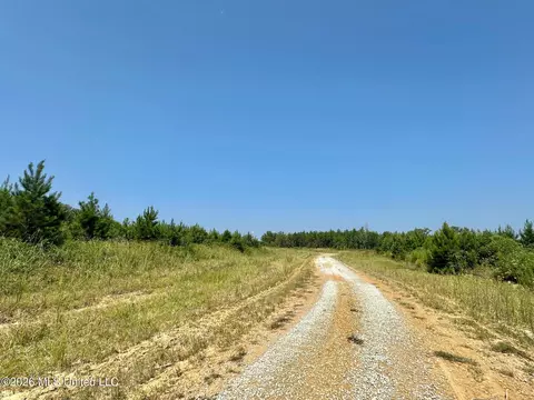Ms-25, Brandon, MS 39047 photo 12