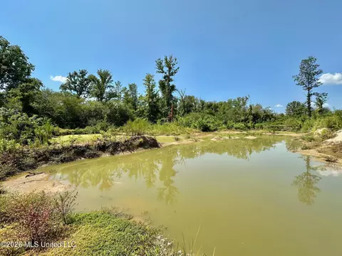 Ms-25, Brandon, MS 39047 photo 37