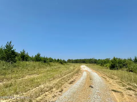 Ms-25, Brandon, MS 39047 photo 12