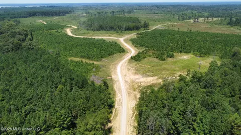 Ms-25, Brandon, MS 39047 photo 63